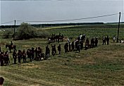 Szõreg 2000
