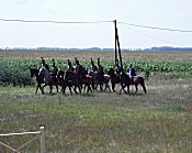 Szõreg 2002