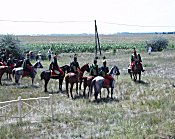 Szõreg 2002