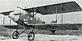Albatros D II