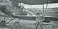 Albatros D III