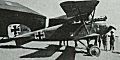 Albatros D III