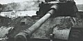 PzKpfw VI Tiger B