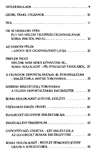 Holokauszt : toronyi trtnsek