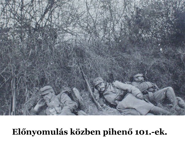 14015.jpg