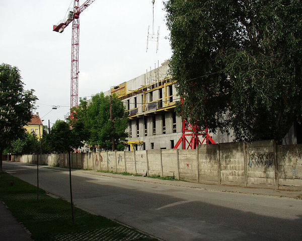 P5091678