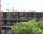 P5231803